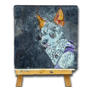 Mr Louie on plexiglass